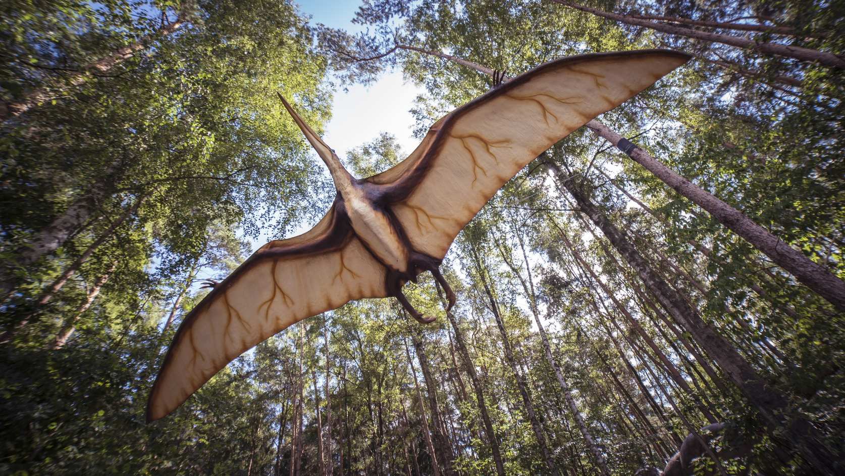 Pterosaur Flying in the Woods