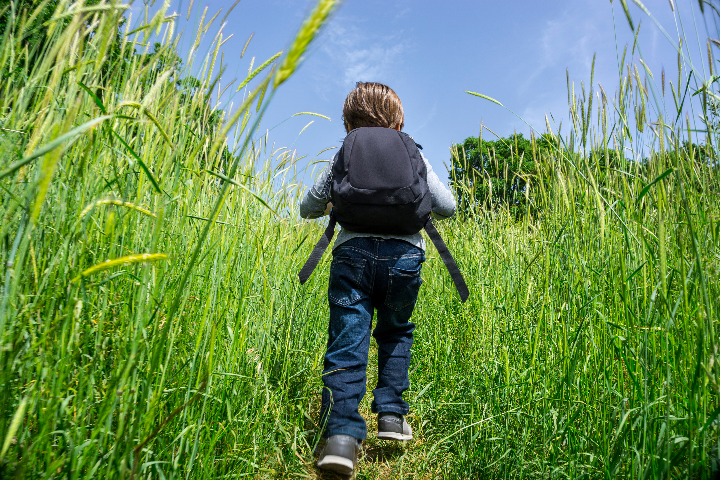 Child and nature